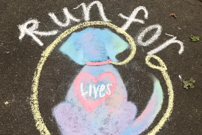 Run for Their Lives chalk drawing for the 10K