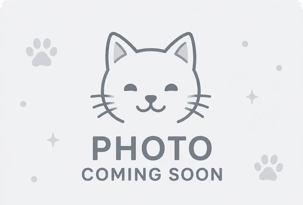Photo coming soon for Kelso