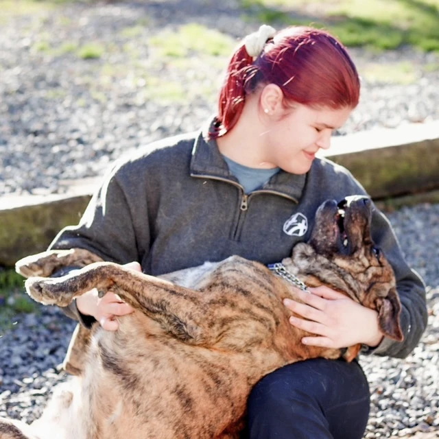 image of person holding a large dog