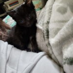 Emerie (In Foster) photo 2
