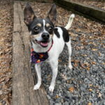 Mooshu (Please Read My Story) photo 5
