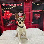 Mooshu (Please Read My Story) photo 3