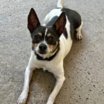 Mooshu (Please Read My Story) photo 1
