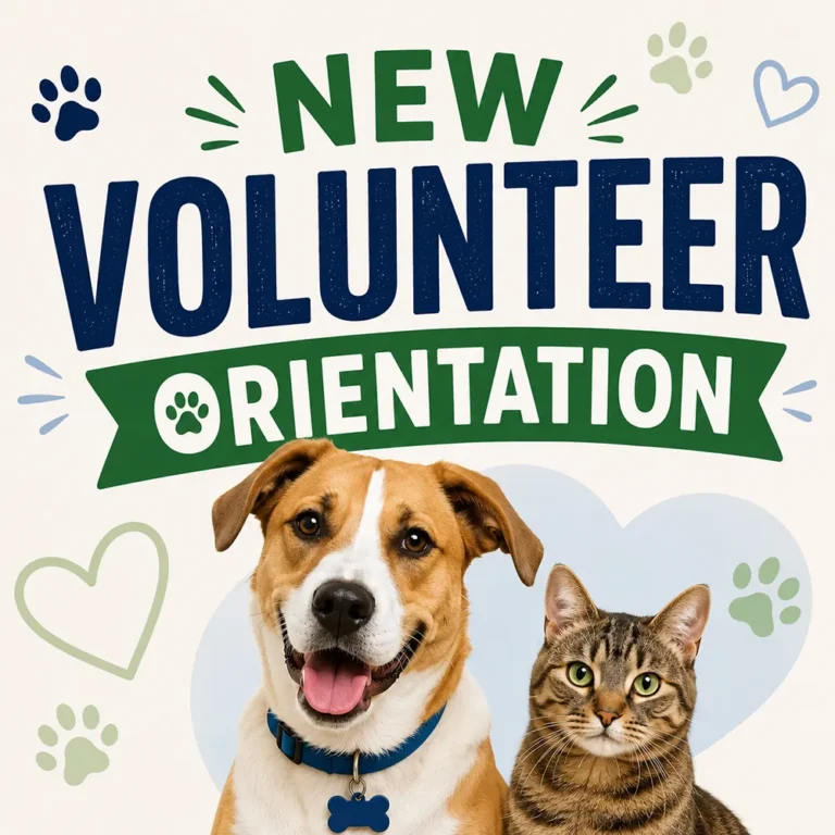 CARA event - New Volunteer Orientation