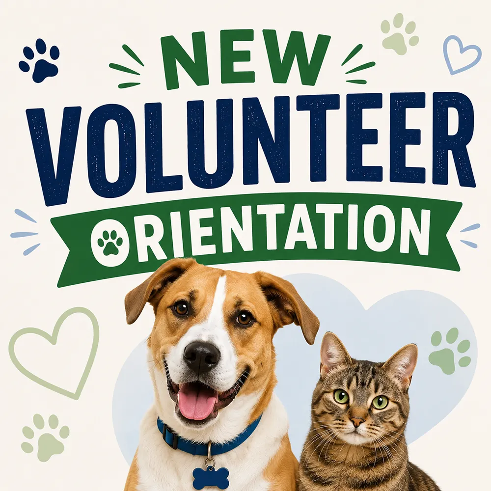 CARA event - New Volunteer Orientation