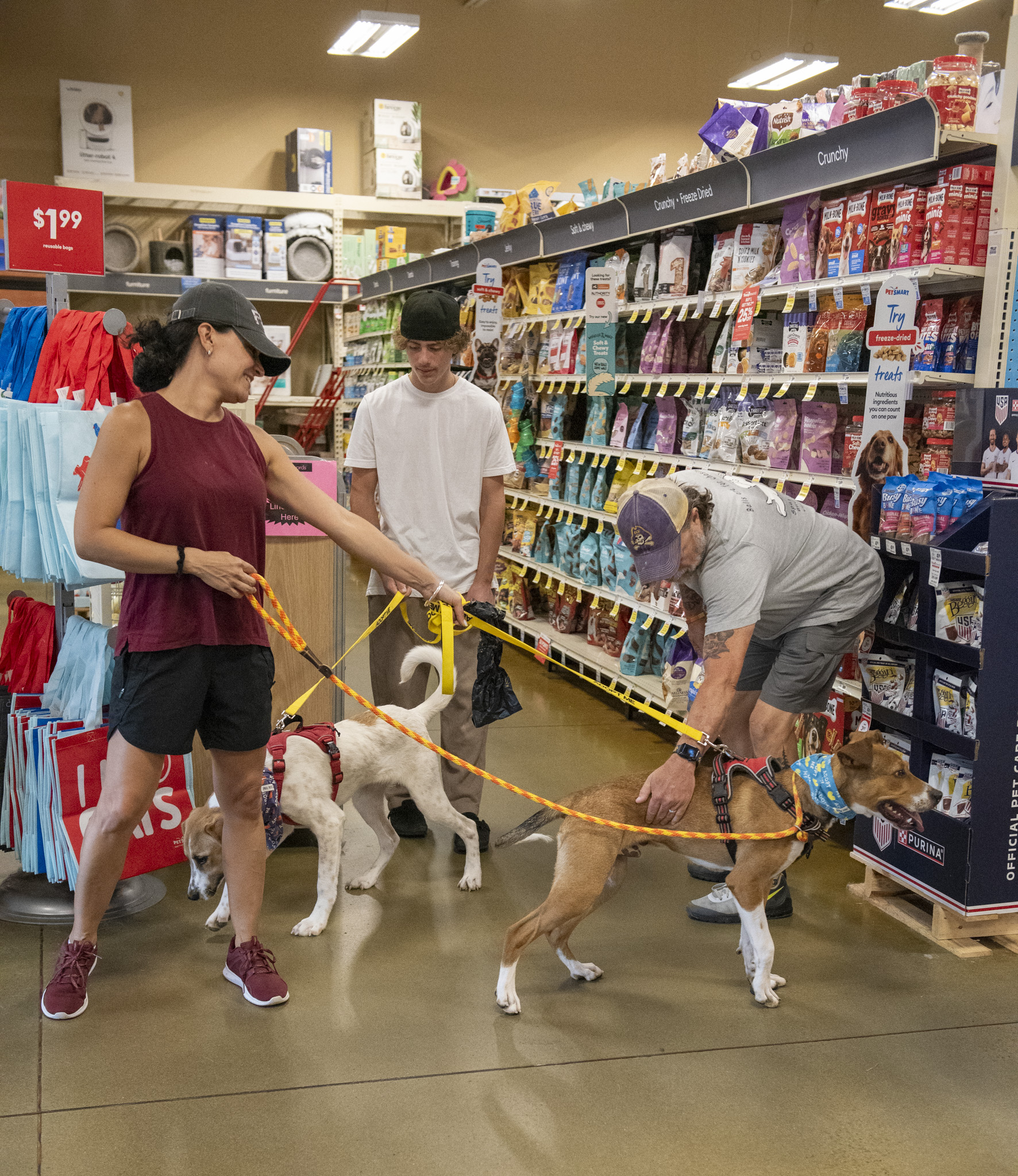 PetSmart Adoptathon (Sanford)