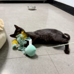 Annie photo 3