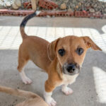 Fred photo 1